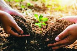 Application of organic soil restoration inputs to enhance agricultural productivity