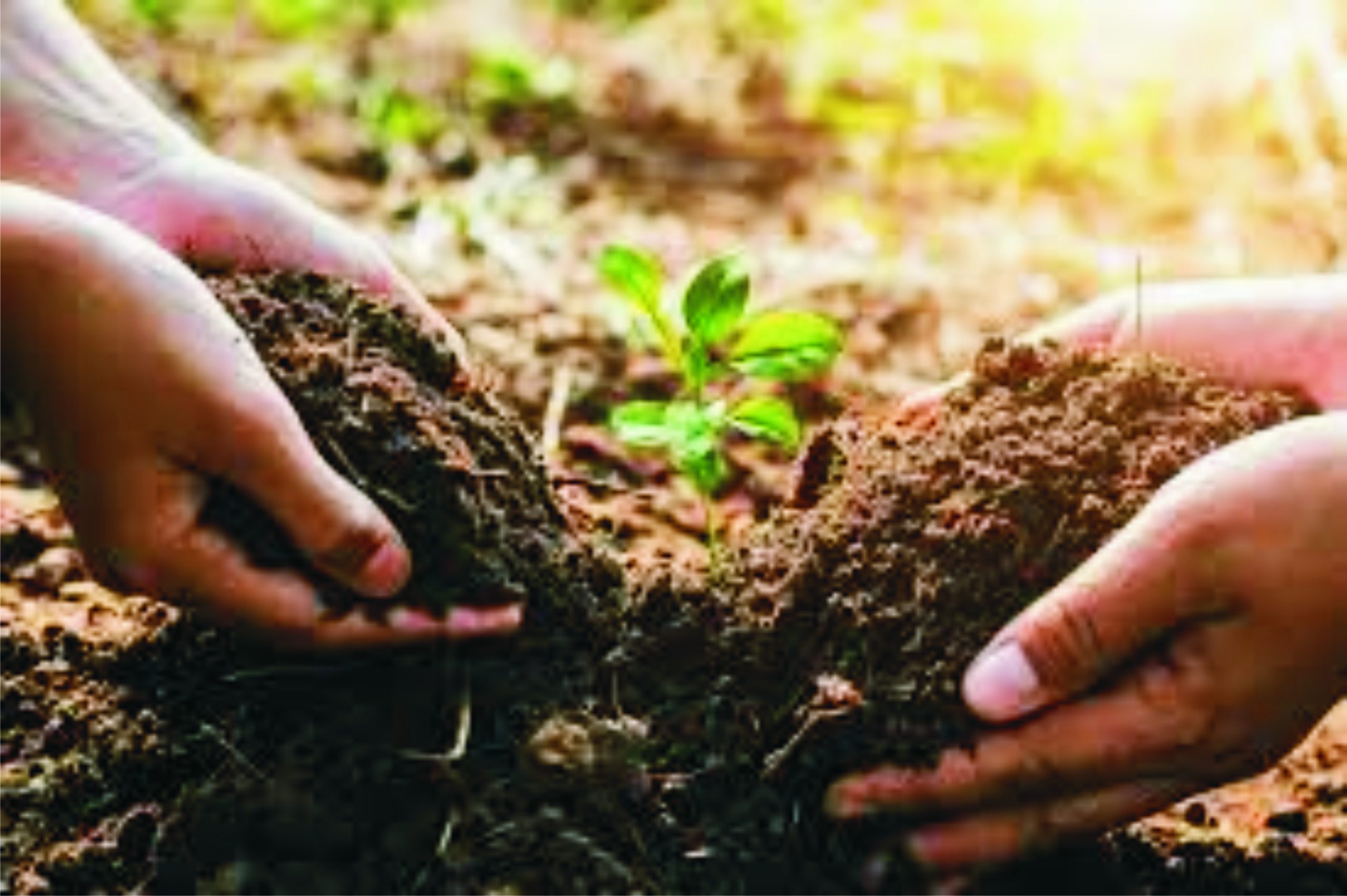 Transforming Agriculture: Innovative Farming and Livelihood Solutions