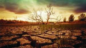 Farmers implementing sustainable soil restoration practices in agricultural field