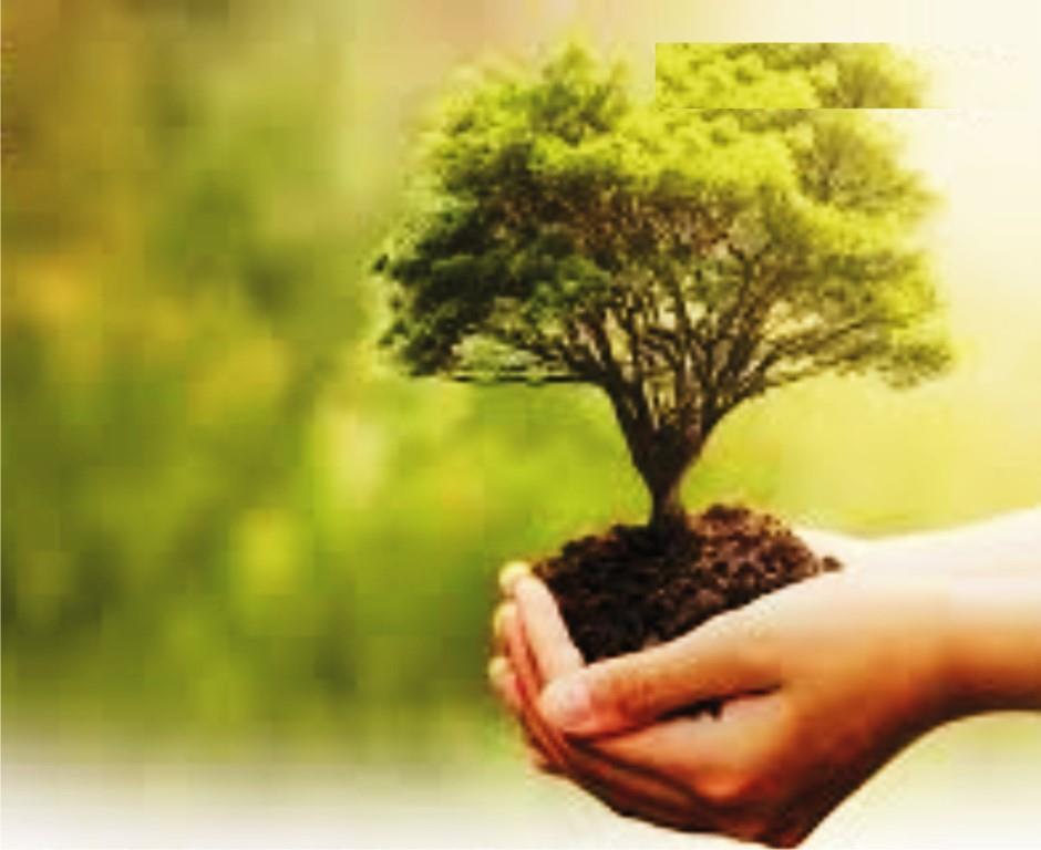 Digital innovation and ICT solutions supporting sustainable business growth